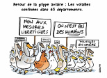 Grippe aviaire le confinement de trop !
