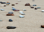 Mini expo photo 25 : Un go sur la plage