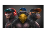 Variole du singe, la vaccination a des butées...