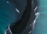 “ sos ; amitié !” cover image de Karsten Winegeart