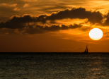L’horizon solitaire
