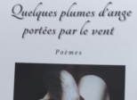 "Quelques plumes d'ange portées par le vent"