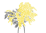 MimosAmour