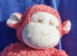 L'Histoire d'Hubert le singe