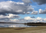 Lac de la forêt d'Orient - Février