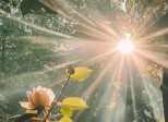 Sois heureux...
