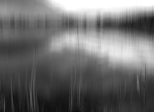 Mini expo photo 12 : Le marais de Lavours