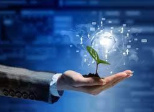 Transformation numérique des entreprises : protection de l'environnement