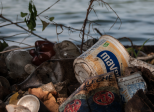 La polluconsommaction