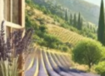 Mine d'or (Ch 1)