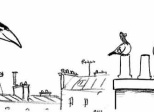 La rentrée des pigeons