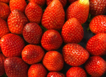Verrines printanières fraises spéculoos comme un tiramisu