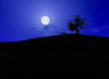 Marche de nuit sur la colline