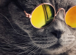 Réflexion : June qu'es acquò ? (1)