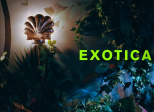 Exotica (Atom Egoyan, 1994)