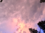Quand le ciel fleurira