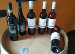 Dégustation au Domaine Poggio di Bortolone (Sicile)e