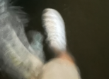 bubulle