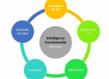 L'intelligence émotionnelle