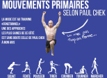 Les 7 mouvements primaires selon Paul Chek