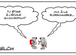 Différentes écoles