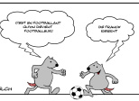 Comme Ribery