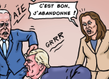 Le rêve de Trump !