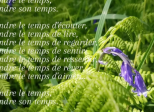 (Sans titre)