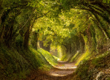Tunnel