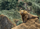 Ours