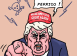 élections de mi-mandat : Trump a perdu son pari !