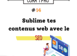 Le charme discret du SEO pour donner un coup de projecteur à ses contenus web