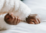 Le sommeil de la vie