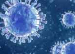 My pandemic story