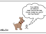 Les meilleurs croquettes pour chien