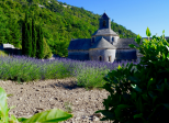 Les Serbes de Provence
