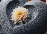 Coeur Toussaint