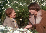 Harold et Maude (Harold and Maude, Hal Ashby, 1971)