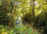 Au bord de "La Sinope"