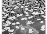 When Art Intersects with Mathematics: M.C. Escher