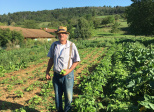 Le cornichon est de retour ! 🥒