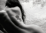 La rose clandestine