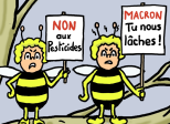 abeilles en péril