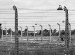 Retour à Birkenau de Ginette Kolinka