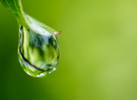 H2O