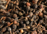 Sélection du poivre sauvage de Madagascar Par Le Comptoir de Toamasina