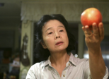 Poetry (2009) Lee Chang-Dong
