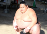 Sumo