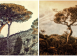 Naturaleza...