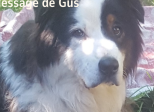 Message de Gus : Dépassement de soi et détachement
